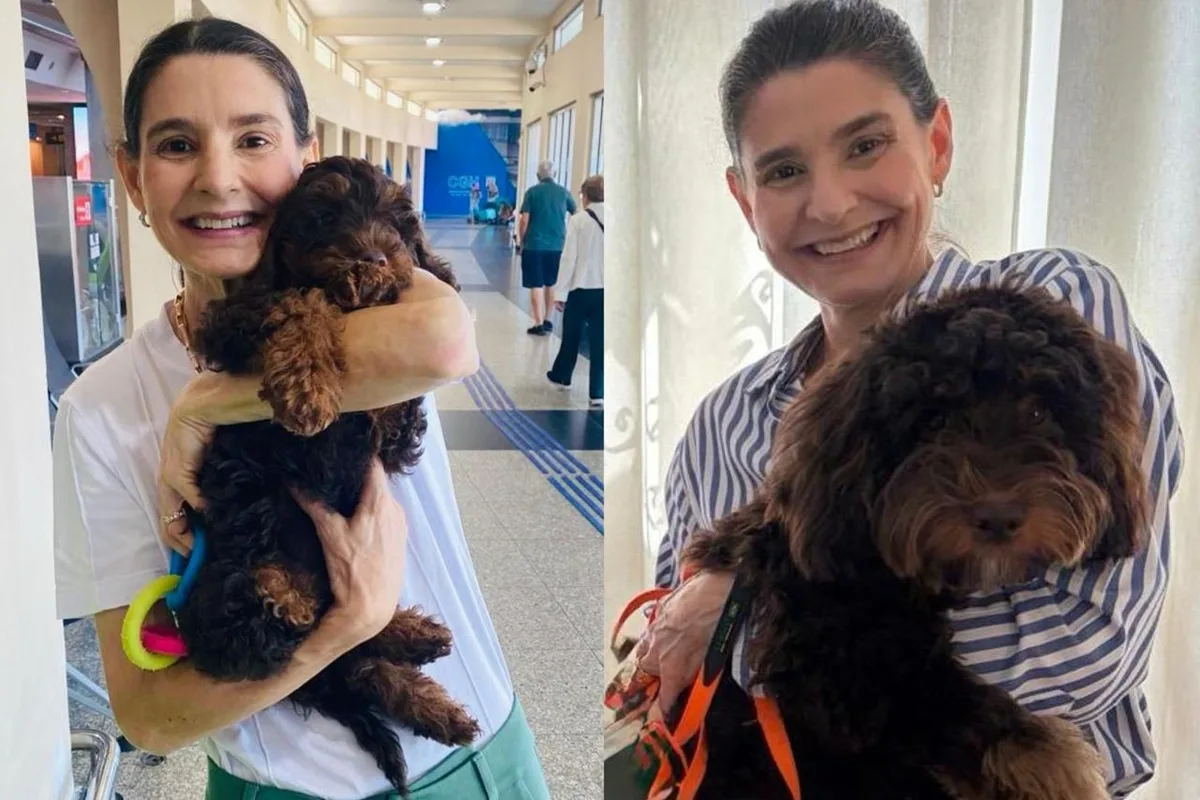 Cão de assistência ajuda advogada a sair do isolamento na depressão