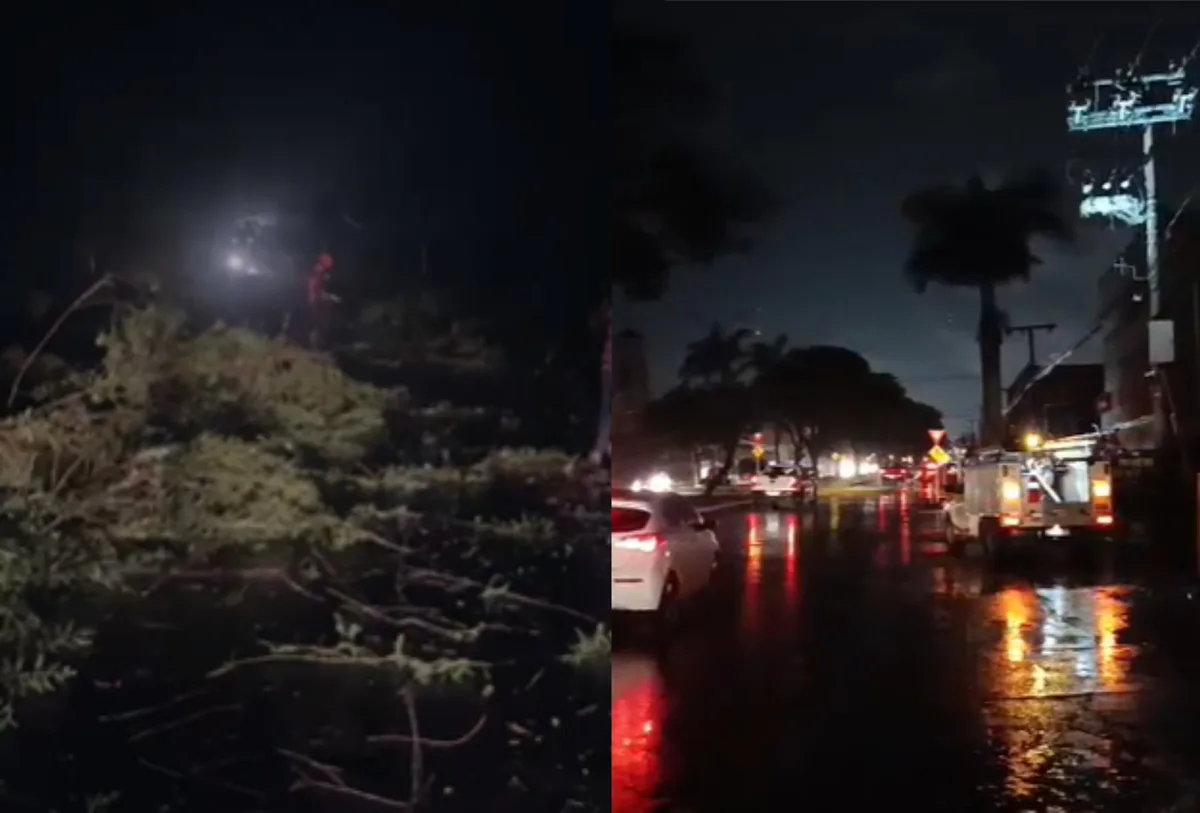 Frente fria: chuva chega a MS, alivia calor e causa quedas de árvores, postes e falta de energia