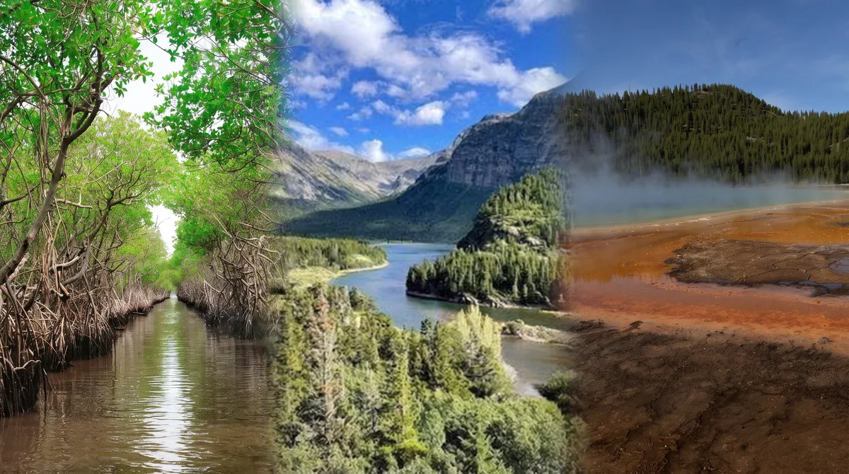 “El Niño” podría alcanzar una intensidad histórica y cambiar el clima de los parques nacionales más visitados de EE. UU.