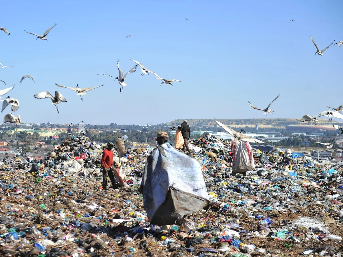 GUGU LOURIE | JSE-listed hoteliers Southern Sun and City Lodge aim for zero waste