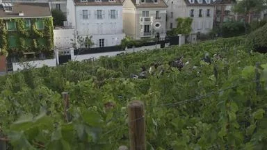 Weinfest auf dem Montmartre