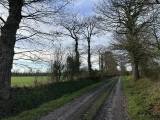 Une femme et ses deux enfants kidnappés et ligotés dans un bois en Ille-et-Vilaine : sept personnes mises en examen