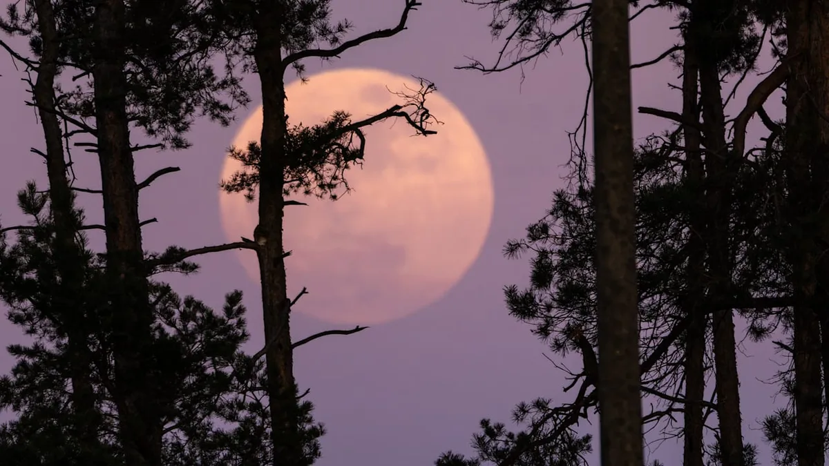 Vollmond trifft Mondfinsternis - Für drei Sternzeichen wird es jetzt intensiv