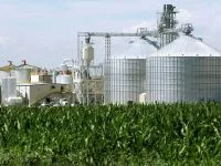 Safra recorde de azeite impulsiona vendas na Expointer