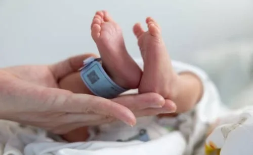 IMSS se reúne con familias de bebés fallecidos en Durango; entrega expedientes clínicos y reporta avances