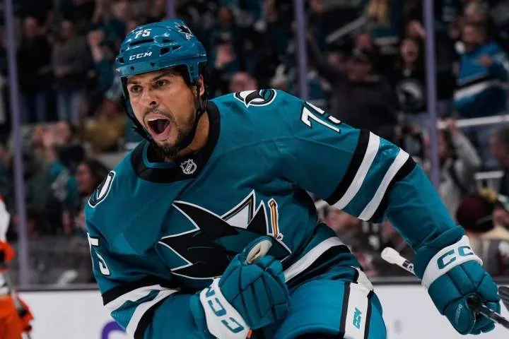 Winnipeg native Ryan Reaves retires after 16 NHL seasons