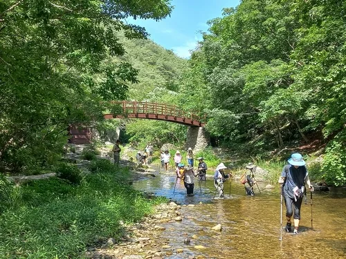 주왕산국립공원, 절골계곡 '첨벙' 트레킹 내달 13일까지 연장