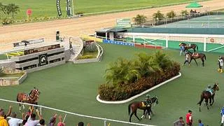 hinava: Conozca la cantidad de purasangres de carreras que hay en Valencia
