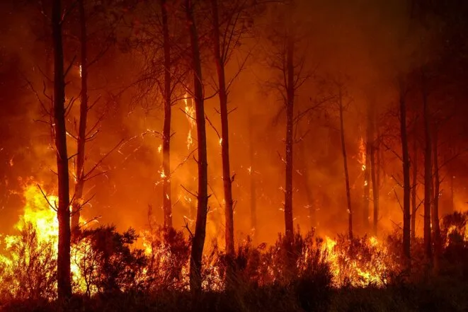 Les feux de forêt, un puissant carburant pour les complotistes et l’extrême droite