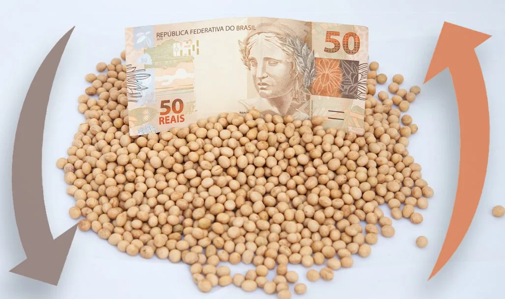 Preço da soja no mercado disponível e futuro ficam em baixa; confira as cotações