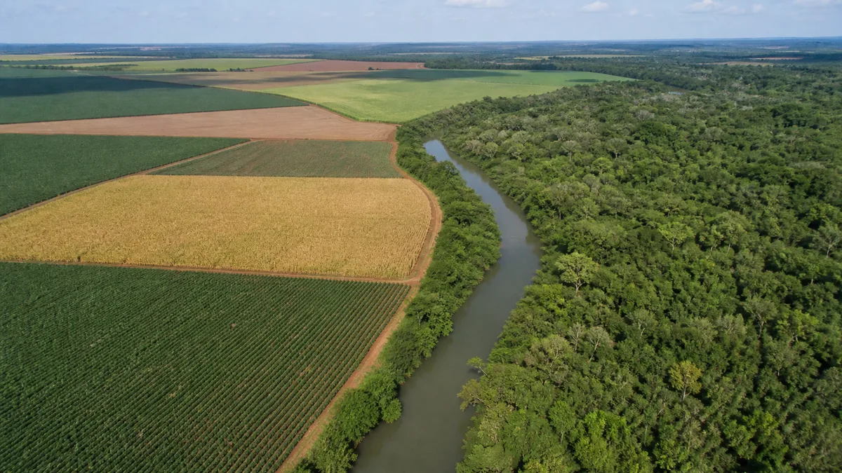 Senado aprova regras para regularização ambiental de propriedades rurais