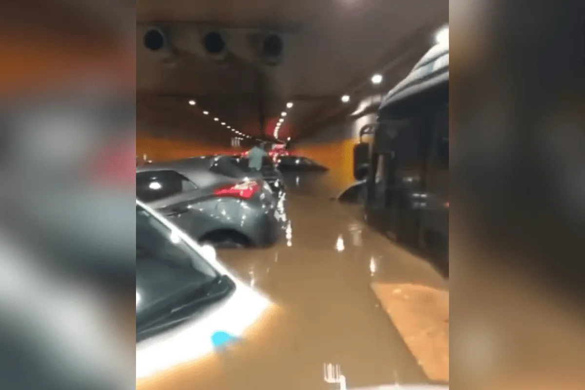 "A culpa não é da chuva", diz especialista em meio ambiente da USP