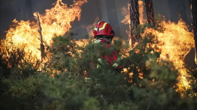 Mais de 200 operacionais no combate a um fogo em Abrantes