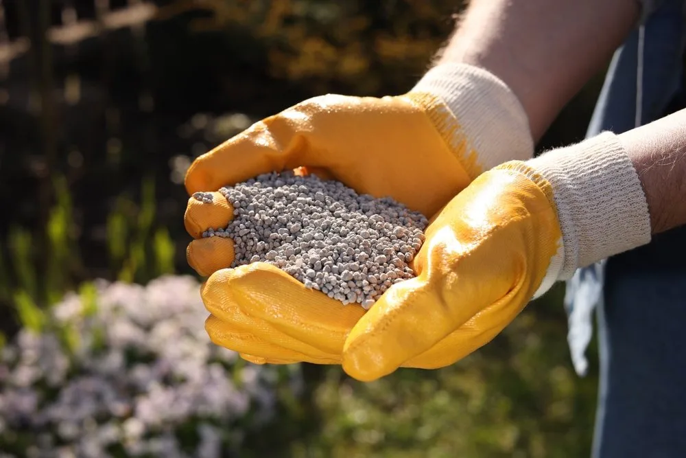 Senado aprova texto que cria crédito à produção de fertilizantes no Brasil, mas nao define valores