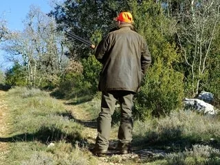 En pleine battue aux sangliers, la balle d’un chasseur percute une chaise de jardin et finit dans le mur d’une maison