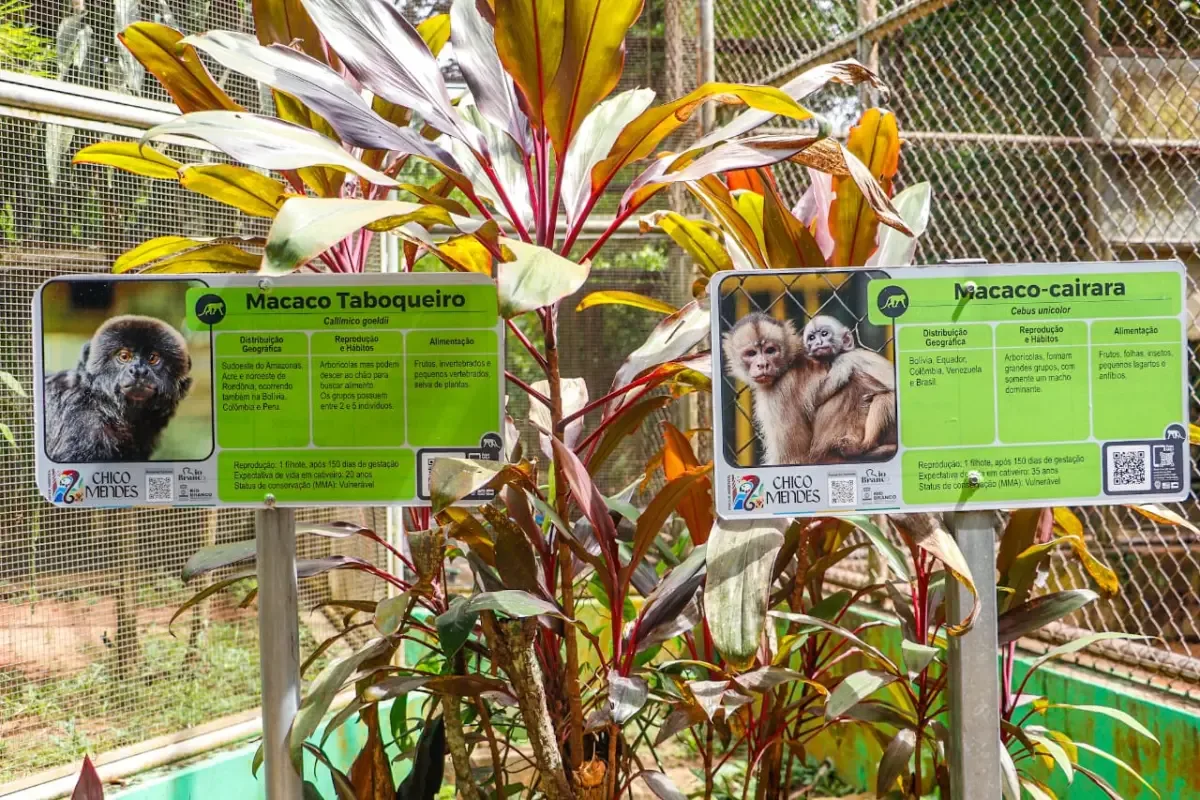 Parque Chico Mendes abre inscrições para estágio com quatro vagas