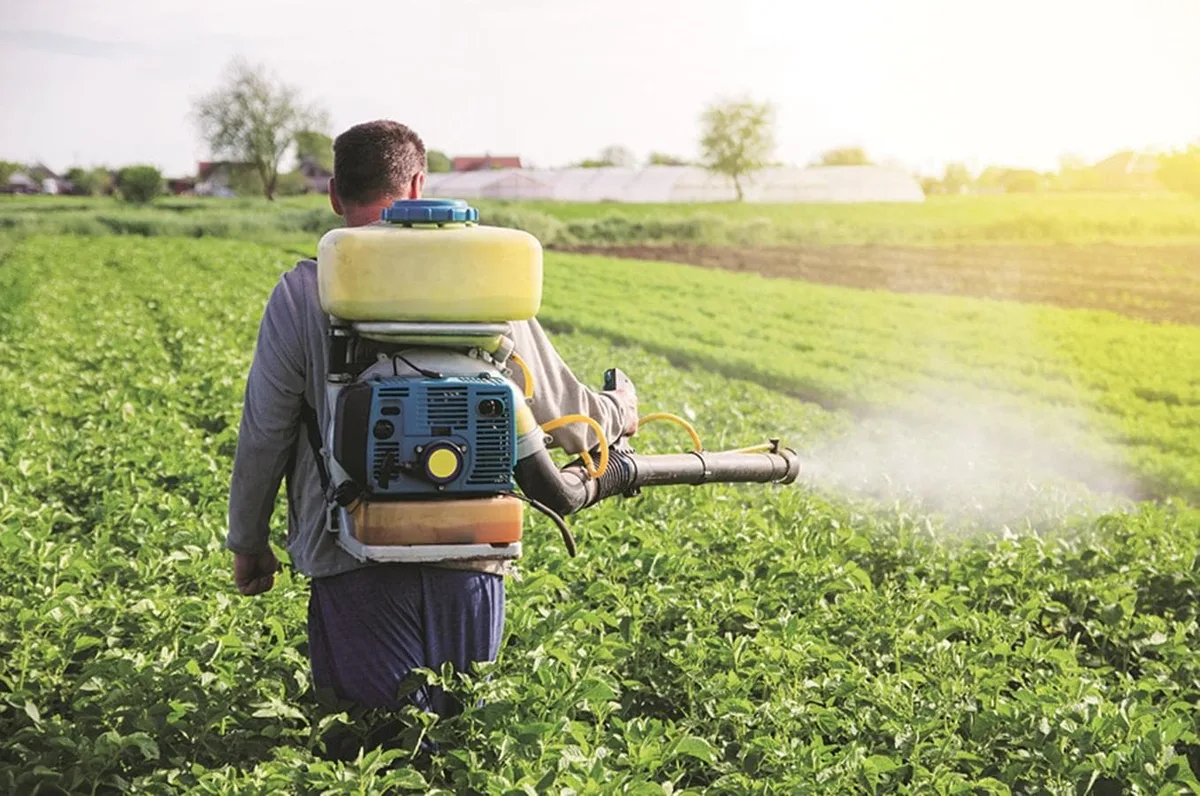 Fertiliser stocks jump up to 14% as Russia signals higher supplies to India