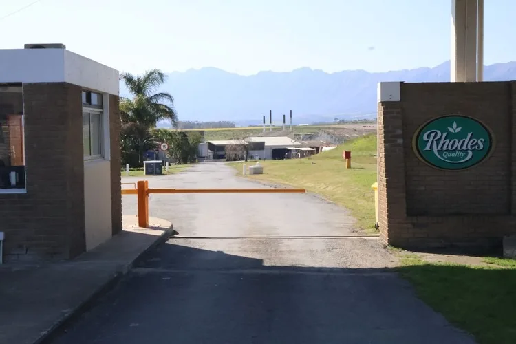 GROUNDUP: Tulbagh factory closure threatens thousands of jobs, way of life