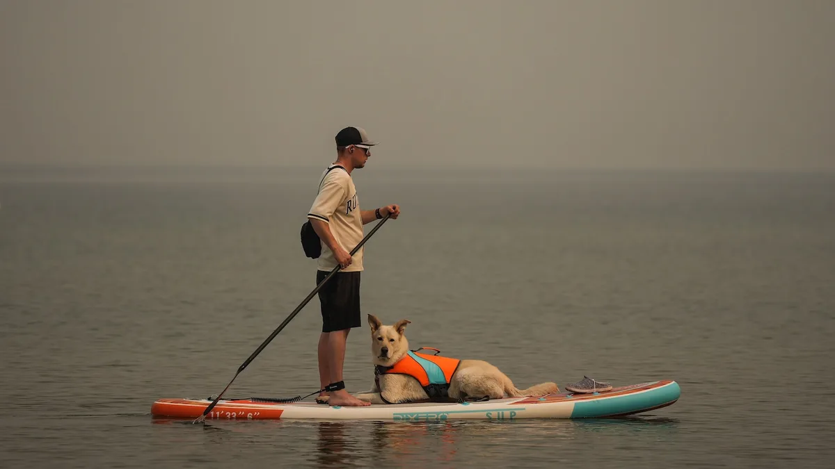 Last week's British Columbia wildfire harmed 150 structures, forced evacuations
