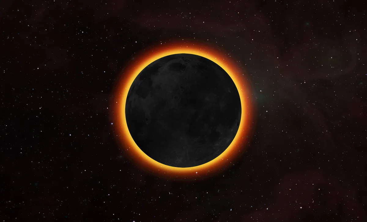 Eclipse solar mobiliza cientistas em pesquisas sobre animais, plantas e atividade do Sol