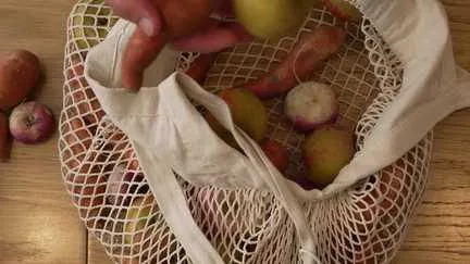 "On a des choux qui n'ont pas grossi" : des fruits et légumes plus petits dans nos supermarchés à cause de la sécheresse