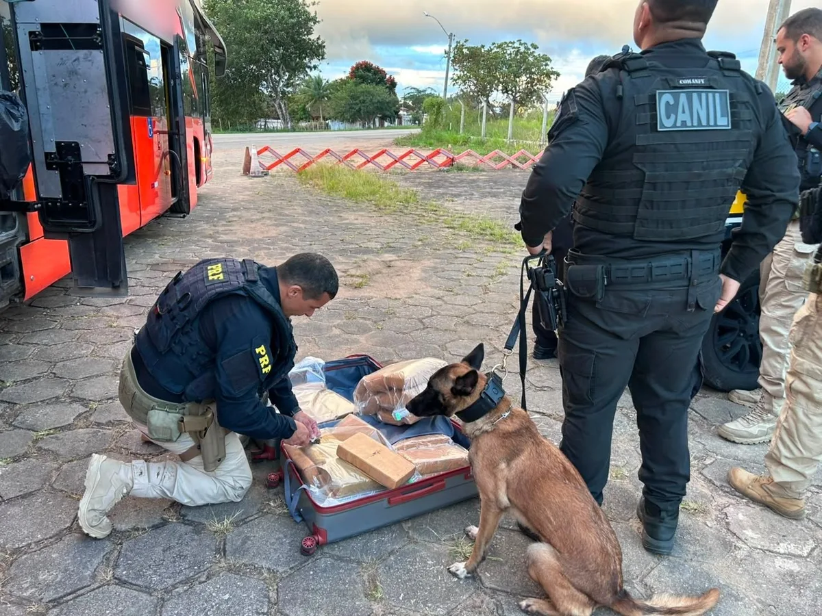 PRF prende passageiro e apreende 31 kg de maconha dentro de ônibus interestadual em Alagoas