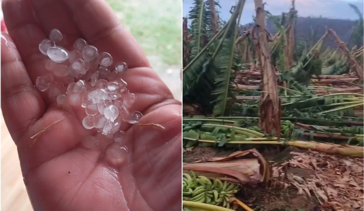Tempestade com granizo e ventos fortes causa estragos em Baixo Guandu