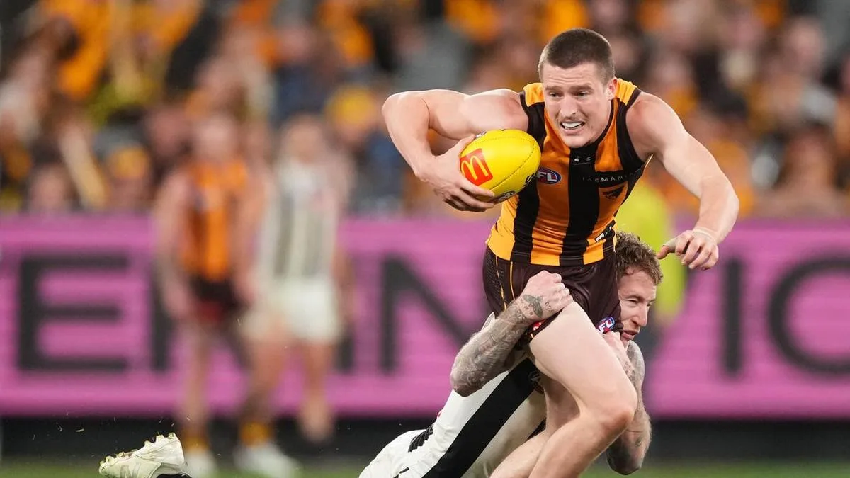 'Backing myself': Hawk flying with better AFL mindset