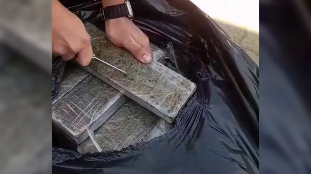 Polícia prende dupla suspeita de transportar tijolos de maconha dentro de mala em rodovia de Quadra