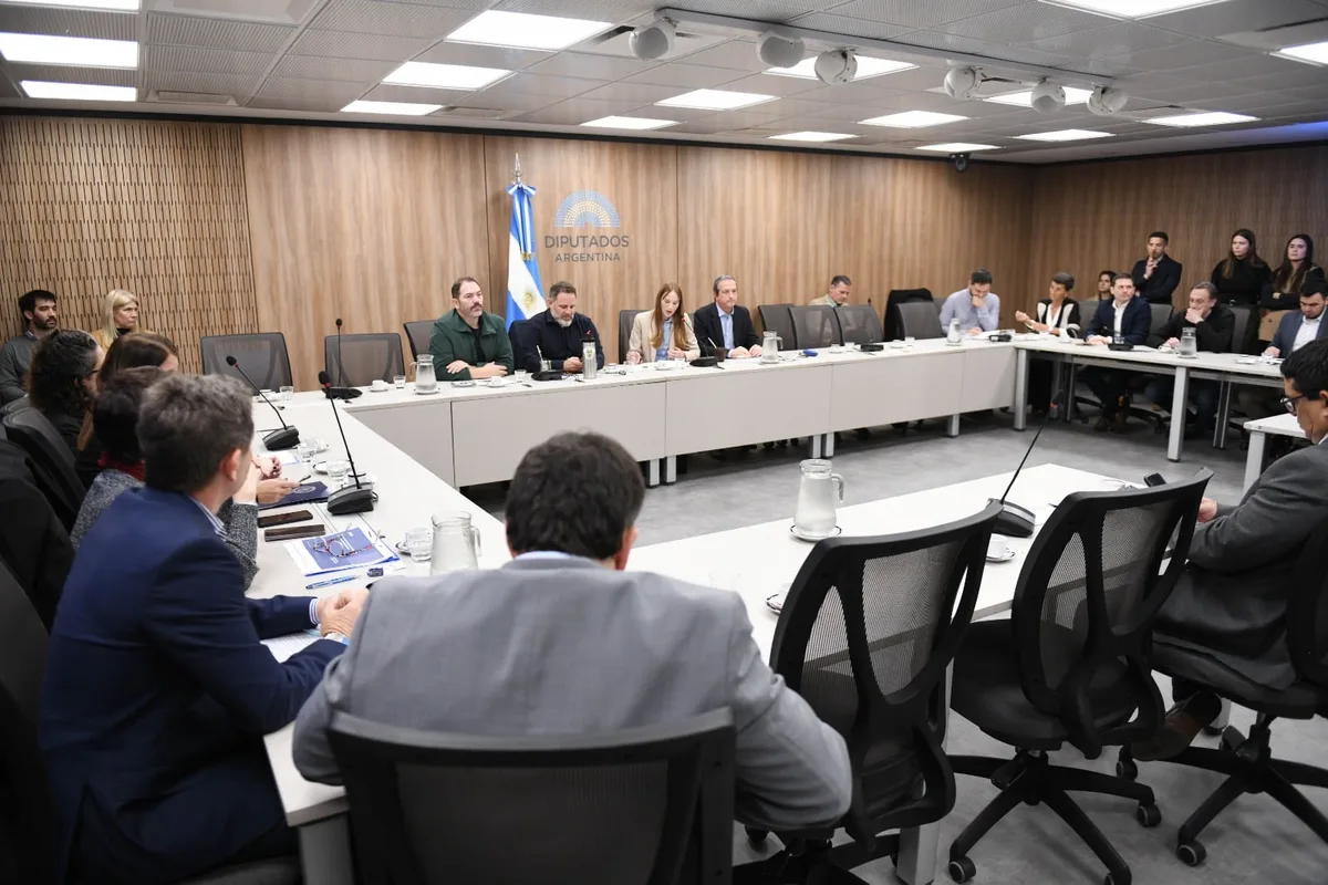 Diputados busca blindar por ley el sistema de búsqueda de personas y el programa Alerta Sofía