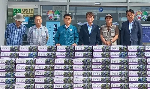양산 상북면 기업인들, 극한호우 피해 거제 포도 160상자 구매