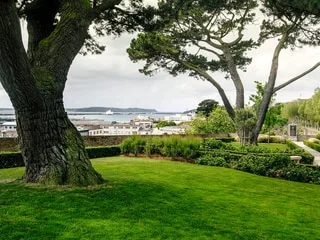 REPORTAGE. Jardins botaniques, promenades… Pourquoi y a t-il autant d’arbres à Brest ?