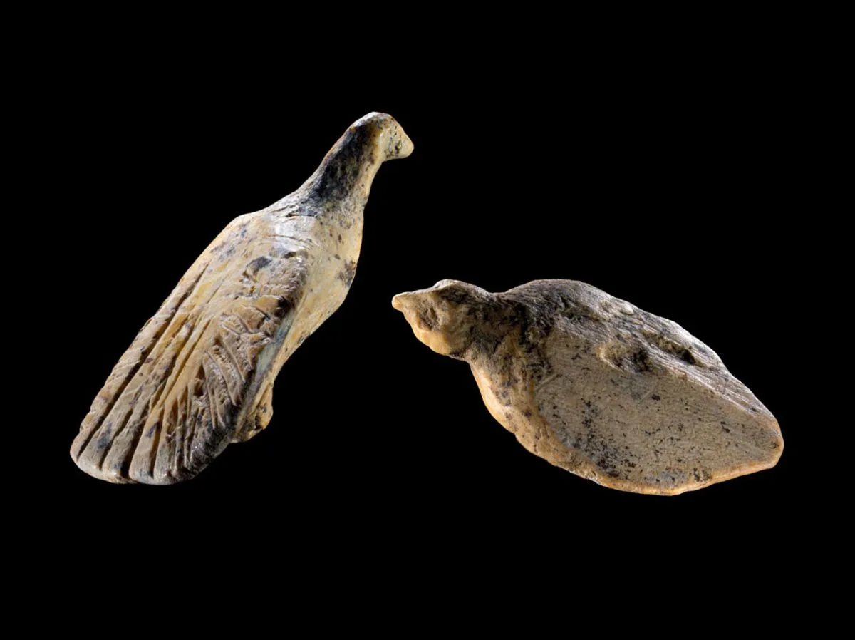 Découverte de deux oiseaux sculptés dans l’ivoire datant de l’ère glaciaire