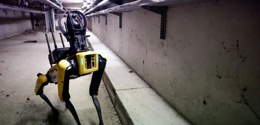 USA: Einwanderungsbehörde ICE bestellt Roboterhunde bei Boston Dynamics