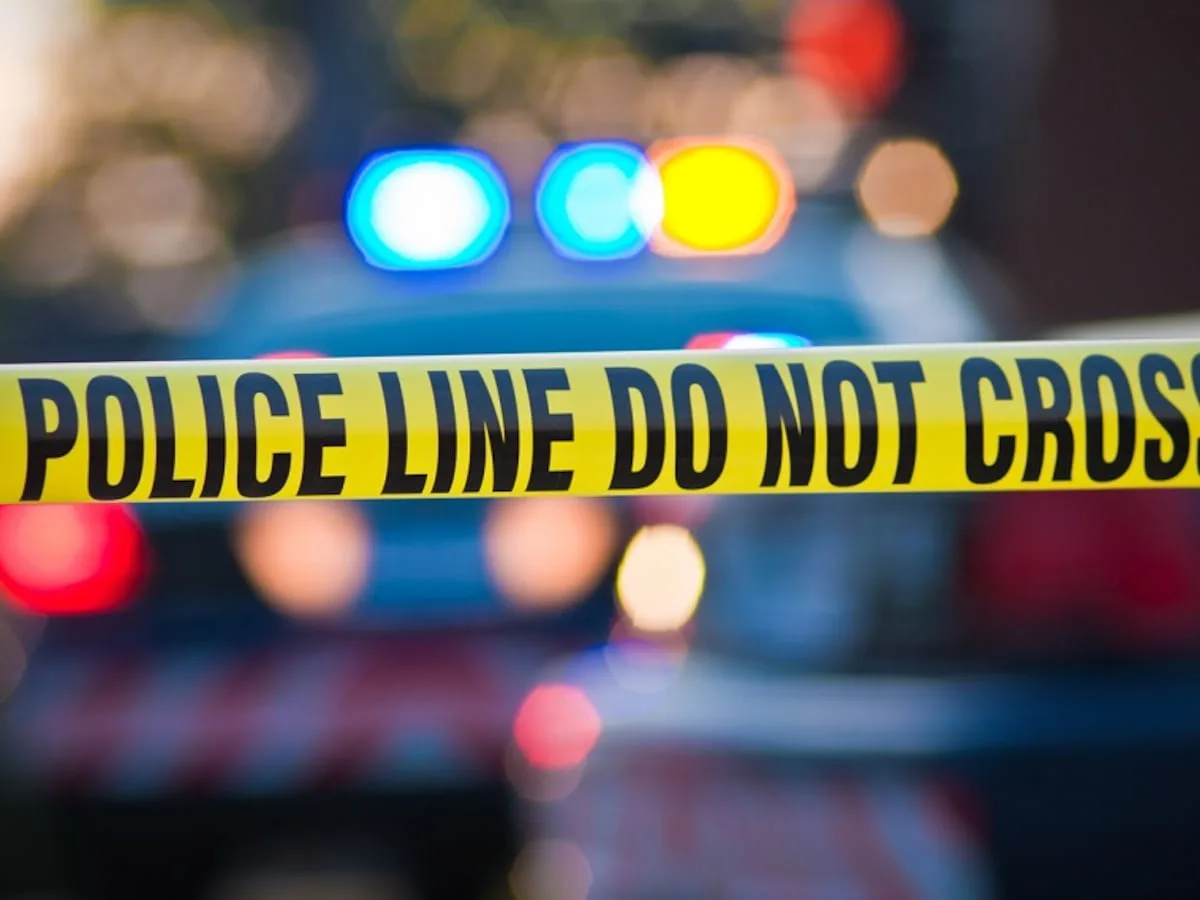Do the deaths of four women point to a serial killer in Kemptom Park?