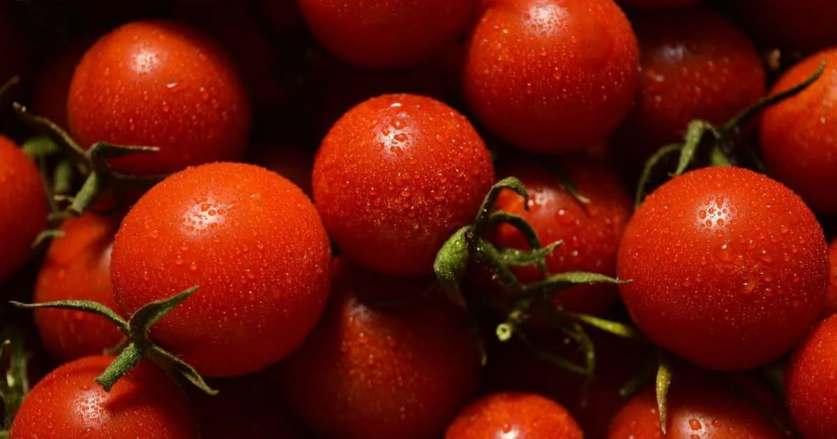 É Primavera! 11 alimentos que turbinam a imunidade nas mudanças de temperatura