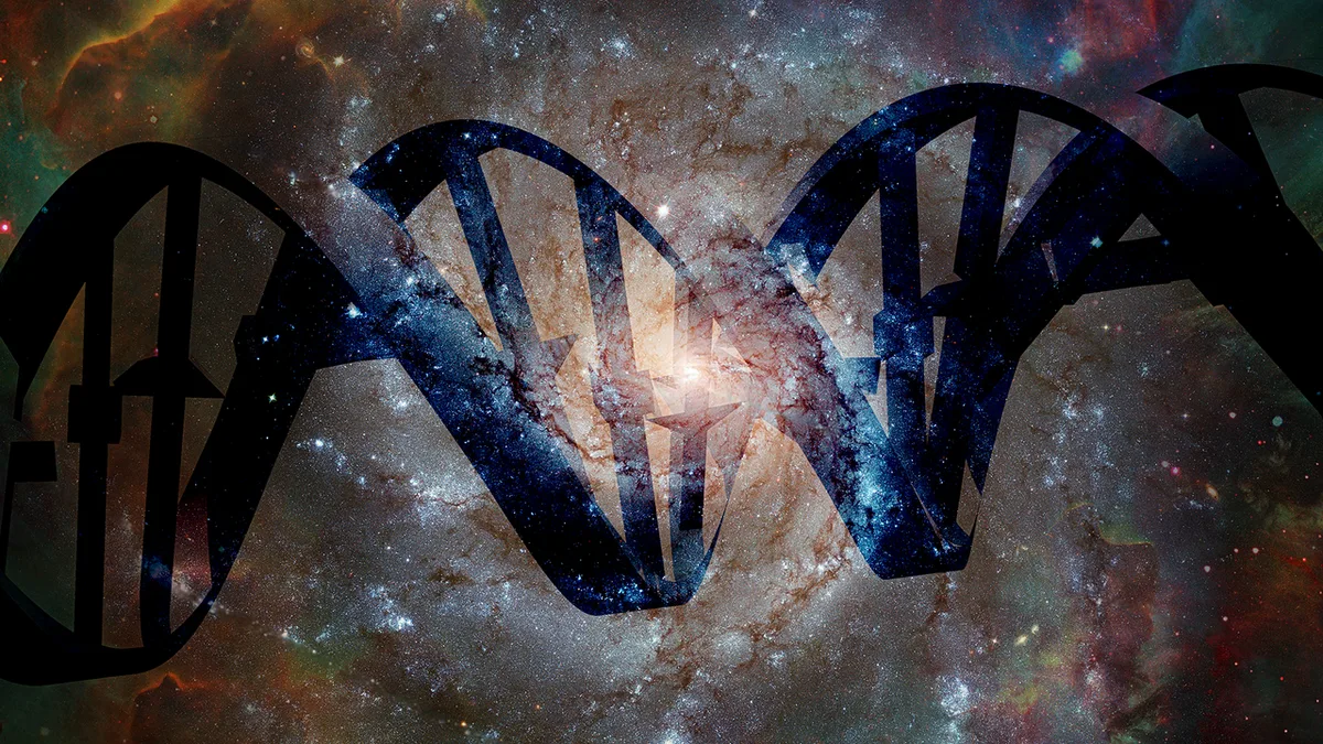 Which building blocks of life have been found in space, and which haven't?