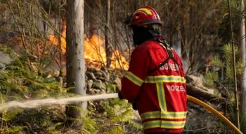 Incêndios. Mais de 60 concelhos de 10 distritos em perigo máximo