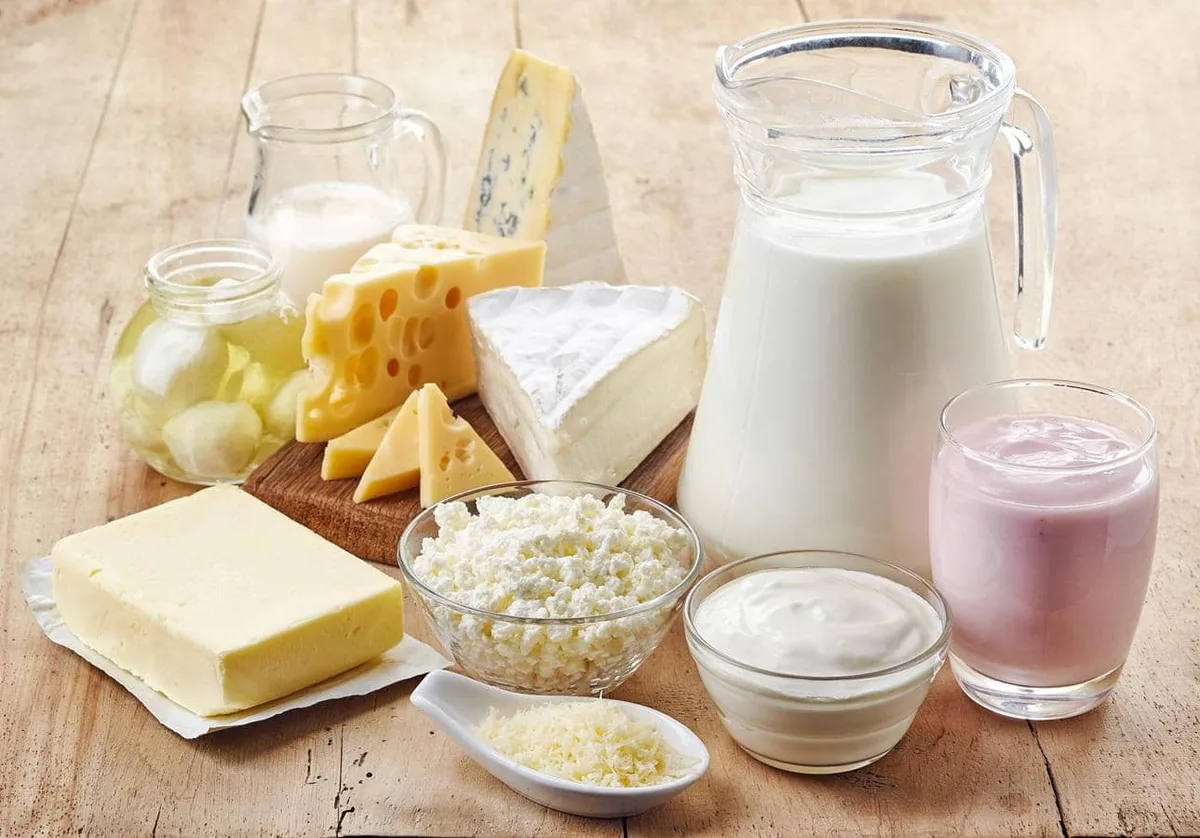The gut-muscle link: Why fermented foods could boost muscle health