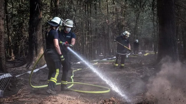 Maßnahmen: Grüne: «Es ist katastrophal» – mehr Einsatz gegen Waldbrände