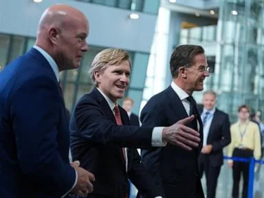 US defense review presses NATO allies to prove they are taking the lead in Europe