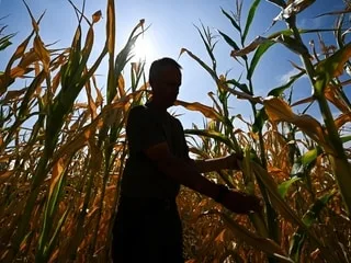 Sébastien Lecornu promet des aides aux agriculteurs, la FNSEA demande « des milliards »