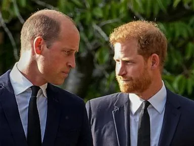 A question looms over Harry's return to the UK. Can he rebuild his relationship with Prince William?