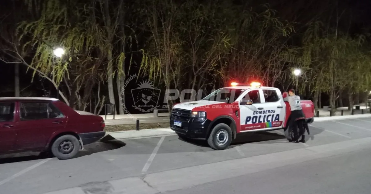 Así fue el rescate de un galgo que quedó atrapado en una isla del Paseo de la Costa de Neuquén