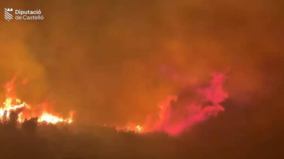 Ascienden a 262.030 las hectáreas quemadas en España en lo que va de año y a 43 los grandes incendios forestales