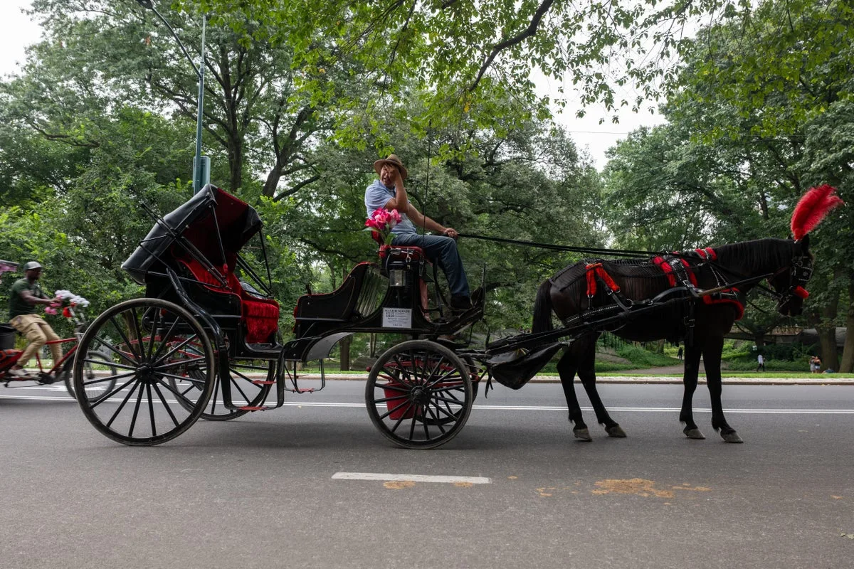 New York City to ban Central Park horse-drawn carriages after fatal tourist accident