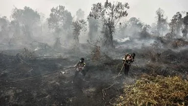 El Niño: Was sich vorhersagen lässt - und was nicht