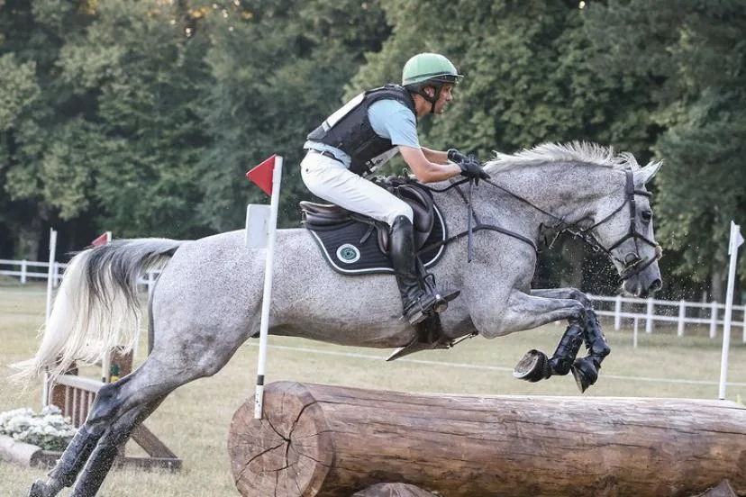 Mondiaux d'équitation : la France éliminée du concours complet en équipe après l'abandon de Nicolas Touzaint