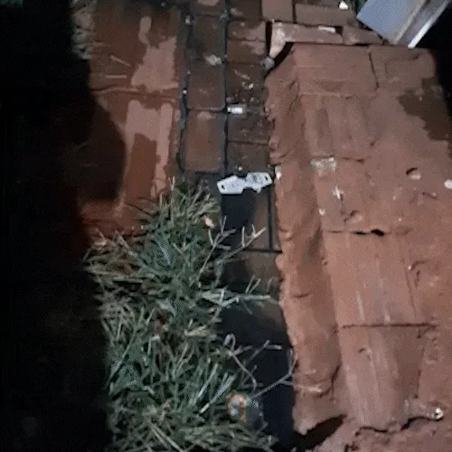 Fossa de condomínio vaza há 5 anos e incomoda moradores no Jardim Columbia