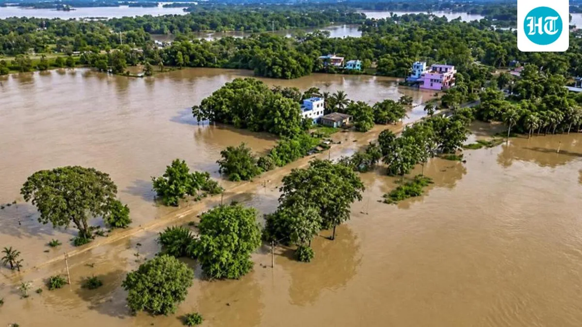 Odisha floods: Death toll rises to 13; schools shut across districts